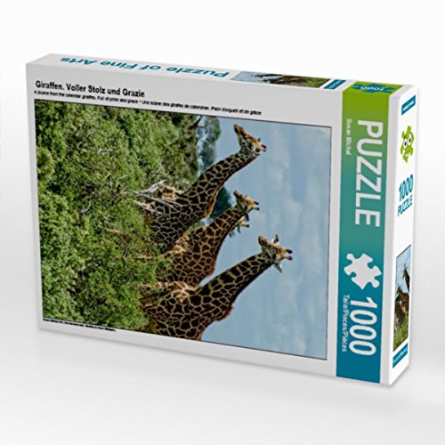 CALVENDO Puzzle Giraffen. Voller Stolz und Grazie 1000 Teile Puzzle hoch | 1000 Teile Lege-Größe 48 x 64 cm Foto-Puzzle für glückliche Stunden von CALVENDO