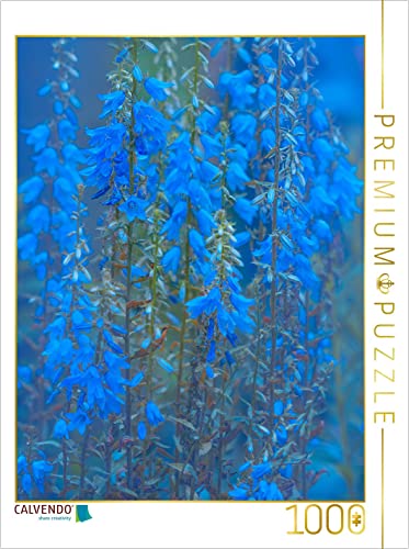 CALVENDO Puzzle Glockenblumen 1000 Teile Puzzle hoch | 1000 Teile Lege-Größe 48 x 64 cm Foto-Puzzle für glückliche Stunden CALVENDO Puzzle Glockenblumen 1000 Teile Puzzle hoch | 1000 Teile Lege-Größe 48 x 64 cm Foto-Puzzle für glückliche Stunden von CALVENDO
