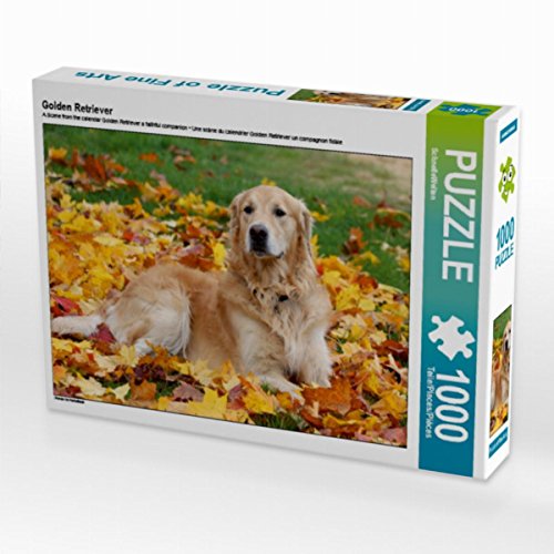 CALVENDO Puzzle Golden Retriever 1000 Teile Puzzle quer | 1000 Teile Lege-Größe 64 x 48 cm Foto-Puzzle für glückliche Stunden von CALVENDO