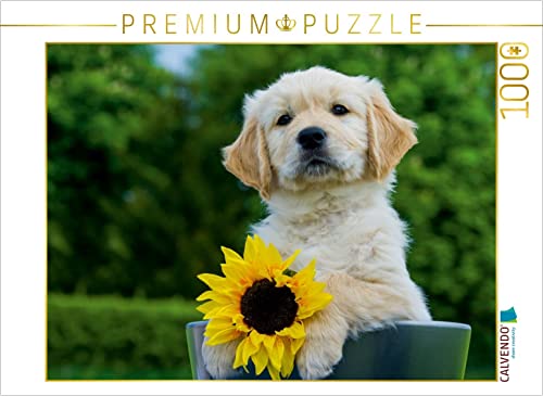 CALVENDO Puzzle Golden Retriever 1000 Teile Puzzle quer | 1000 Teile Lege-Größe 64 x 48 cm Foto-Puzzle für glückliche Stunden von CALVENDO