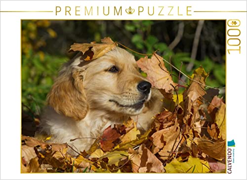 CALVENDO Puzzle Golden Retriever 1000 Teile Puzzle quer | 1000 Teile Lege-Größe 64 x 48 cm Foto-Puzzle für glückliche Stunden von CALVENDO