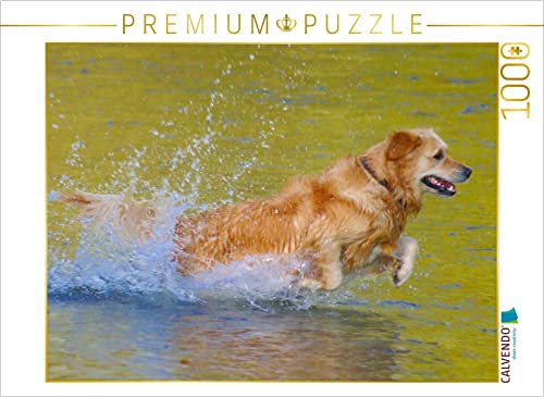 CALVENDO Puzzle Golden Retriever im goldenen Wasser 1000 Teile Puzzle quer | 1000 Teile Lege-Größe 64 x 48 cm Foto-Puzzle für glückliche Stunden von CALVENDO