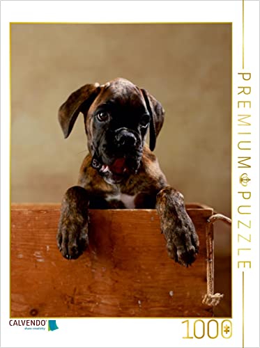 CALVENDO Puzzle Gonzo - Deutscher Boxer, 11 Wochen 1000 Teile Puzzle hoch | 1000 Teile Lege-Größe 48 x 64 cm Foto-Puzzle für glückliche Stunden CALVENDO Puzzle Gonzo - Deutscher Boxer, 11 Wochen 1000 Teile Puzzle hoch | 1000 Teile Lege-Größe 48 x 64 cm Foto-Puzzle für glückliche Stunden von CALVENDO