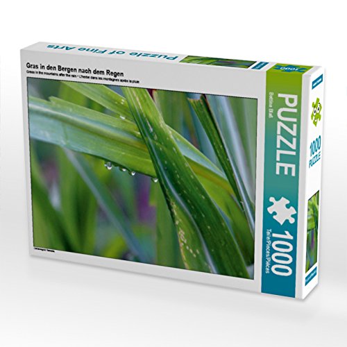 CALVENDO Puzzle Gras in den Bergen nach dem Regen 1000 Teile Puzzle quer | 1000 Teile Lege-Größe 64 x 48 cm Foto-Puzzle für glückliche Stunden CALVENDO Puzzle Gras in den Bergen nach dem Regen 1000 Teile Puzzle quer | 1000 Teile Lege-Größe 64 x 48 cm Foto-Puzzle für glückliche Stunden von CALVENDO