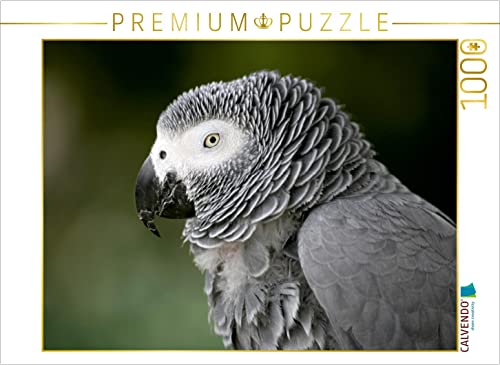 CALVENDO Puzzle Graupapagei 1000 Teile Puzzle quer | 1000 Teile Lege-Größe 64 x 48 cm Foto-Puzzle für glückliche Stunden von CALVENDO