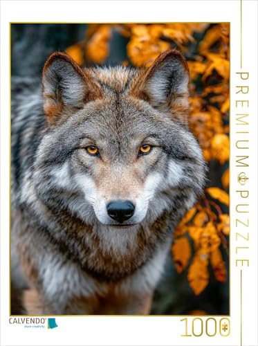 CALVENDO Puzzle Great Plains Wolf mit intensivem Blick im Herbstwald | 1000 Teile Lege-Größe 48 x 64 cm Foto-Puzzle für glückliche Stunden von CALVENDO