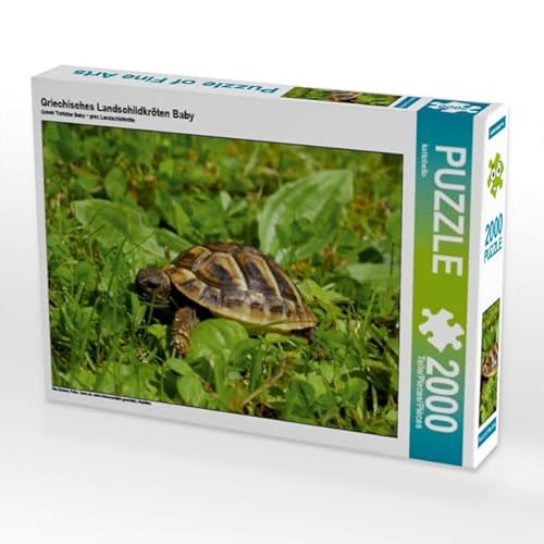CALVENDO Puzzle Griechisches Landschildkröten Baby 2000 Teile Lege-Größe 90 x 67 cm Foto-Puzzle Bild von Kattobello CALVENDO Puzzle Griechisches Landschildkröten Baby 2000 Teile Lege-Größe 90 x 67 cm Foto-Puzzle Bild von Kattobello von CALVENDO