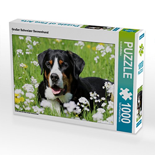 CALVENDO Puzzle Großer Schweizer Sennenhund 1000 Teile Puzzle quer | 1000 Teile Lege-Größe 64 x 48 cm Foto-Puzzle für glückliche Stunden von CALVENDO