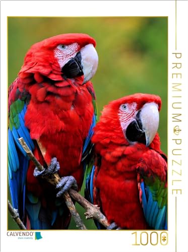 CALVENDO Puzzle Grünflügelara Pärchen | 1000 Teile Lege-Größe 48 x 64 cm Foto-Puzzle für glückliche Stunden von CALVENDO