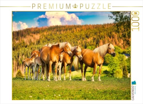 CALVENDO Puzzle Gruppe mit Fohlen | 1000 Teile Lege-Größe 64 x 48 cm Foto-Puzzle für glückliche Stunden von CALVENDO