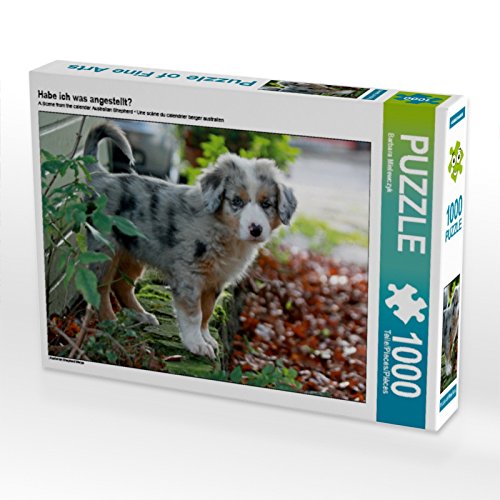 CALVENDO Puzzle Habe ich was angestellt? 1000 Teile Puzzle quer | 1000 Teile Lege-Größe 64 x 48 cm Foto-Puzzle für glückliche Stunden CALVENDO Puzzle Habe ich was angestellt? 1000 Teile Puzzle quer | 1000 Teile Lege-Größe 64 x 48 cm Foto-Puzzle für glückliche Stunden von CALVENDO