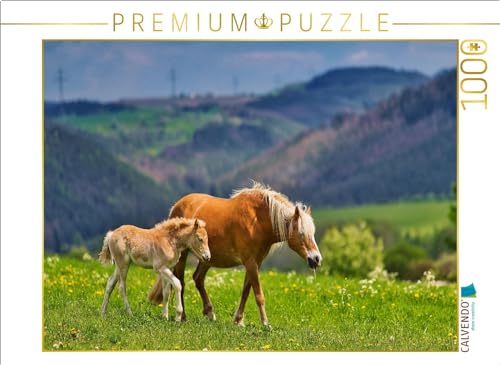 CALVENDO Puzzle Haflinger Stute mit Fohlen | Lege-Größe cm Foto-Puzzle für glückliche Stunden von CALVENDO