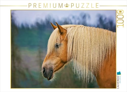 CALVENDO Puzzle Haflinger mit prächtig Blonder Mähne | 1000 Teile Lege-Größe 64 x 48 cm Foto-Puzzle für glückliche Stunden CALVENDO Puzzle Haflinger mit prächtig Blonder Mähne | 1000 Teile Lege-Größe 64 x 48 cm Foto-Puzzle für glückliche Stunden von CALVENDO