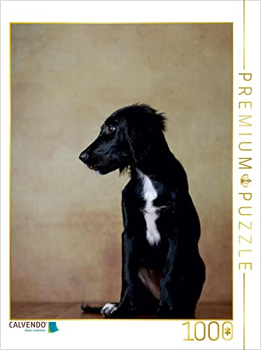 CALVENDO Puzzle Hazel - Retriever x Labrador x Münsterländer-Mix, 14 Wochen 1000 Teile Puzzle hoch | 1000 Teile Lege-Größe 48 x 64 cm Foto-Puzzle für glückliche Stunden CALVENDO Puzzle Hazel - Retriever x Labrador x Münsterländer-Mix, 14 Wochen 1000 Teile Puzzle hoch | 1000 Teile Lege-Größe 48 x 64 cm Foto-Puzzle für glückliche Stunden von CALVENDO