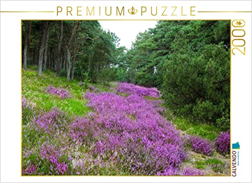 CALVENDO Puzzle Heidelandschaft in Dänemark 2000 Teile Puzzle quer | Lege-Größe cm Foto-Puzzle für glückliche Stunden CALVENDO Puzzle Heidelandschaft in Dänemark 2000 Teile Puzzle quer | Lege-Größe cm Foto-Puzzle für glückliche Stunden von CALVENDO