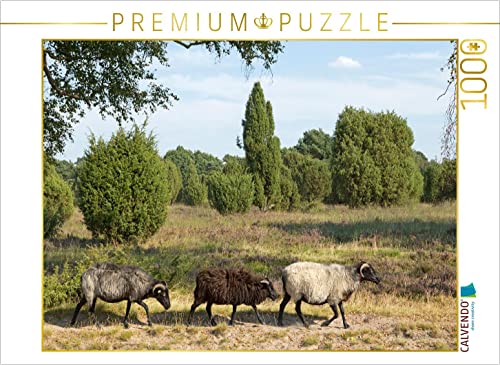 CALVENDO Puzzle Heidschnucken unterwegs 1000 Teile Lege-Größe 64 x 48 cm Foto-Puzzle Bild von Siegfried Kuttig von CALVENDO