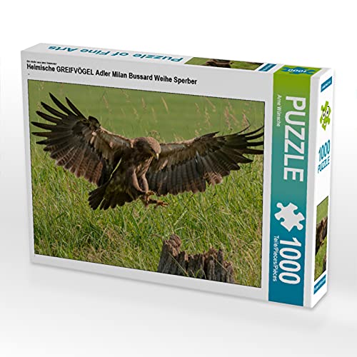 CALVENDO Puzzle Heimische GREIFVÖGEL Adler Milan Bussard Weihe Sperber 1000 Teile Lege-Größe 64 x 48 cm Foto-Puzzle Bild von Arne Wünsche von CALVENDO