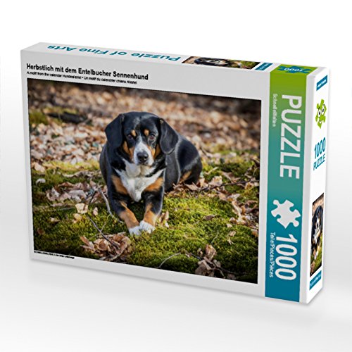 CALVENDO Puzzle Herbstlich mit dem Entelbucher Sennenhund 1000 Teile Puzzle quer | Lege-Größe cm Foto-Puzzle für glückliche Stunden von CALVENDO