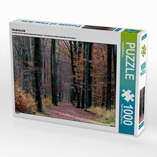 CALVENDO Puzzle Herbstwald 1000 Teile Puzzle quer | 1000 Teile Lege-Größe 64 x 48 cm Foto-Puzzle für glückliche Stunden von CALVENDO