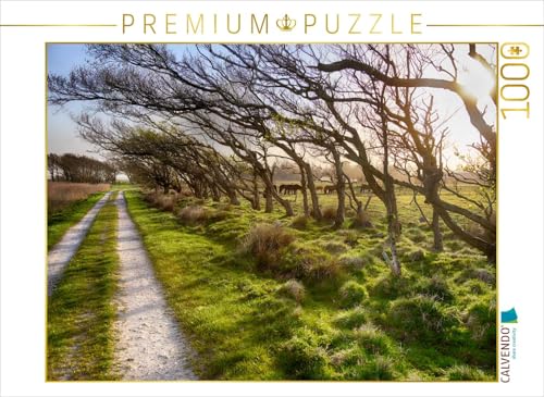 CALVENDO Puzzle Hindø – Die 70 ha große Insel im Stadil Fjord ist perfekt zum Spazieren und Entspannen 1000 Teile Lege-Größe 64 x 48 cm Foto-Puzzle Bild von Mr.Mooseman CALVENDO Puzzle Hindø – Die 70 ha große Insel im Stadil Fjord ist perfekt zum Spazieren und Entspannen 1000 Teile Lege-Größe 64 x 48 cm Foto-Puzzle Bild von Mr.Mooseman von CALVENDO