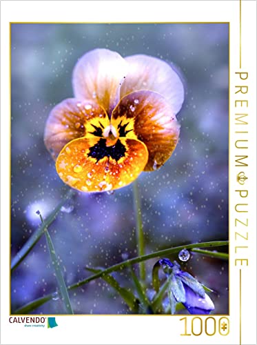 CALVENDO Puzzle Hornveilchen 1000 Teile Puzzle hoch | 1000 Teile Lege-Größe 48 x 64 cm Foto-Puzzle für glückliche Stunden CALVENDO Puzzle Hornveilchen 1000 Teile Puzzle hoch | 1000 Teile Lege-Größe 48 x 64 cm Foto-Puzzle für glückliche Stunden von CALVENDO