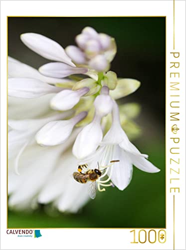 CALVENDO Puzzle Hostablüten 1000 Teile Lege-Größe 48 x 64 cm Foto-Puzzle Bild von Gisela Kruse CALVENDO Puzzle Hostablüten 1000 Teile Lege-Größe 48 x 64 cm Foto-Puzzle Bild von Gisela Kruse von CALVENDO