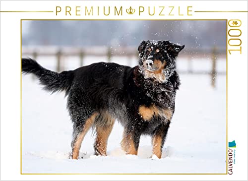 CALVENDO Puzzle Hovawart - Spass im Schnee 1000 Teile Puzzle quer | 1000 Teile Lege-Größe 64 x 48 cm Foto-Puzzle für glückliche Stunden von CALVENDO