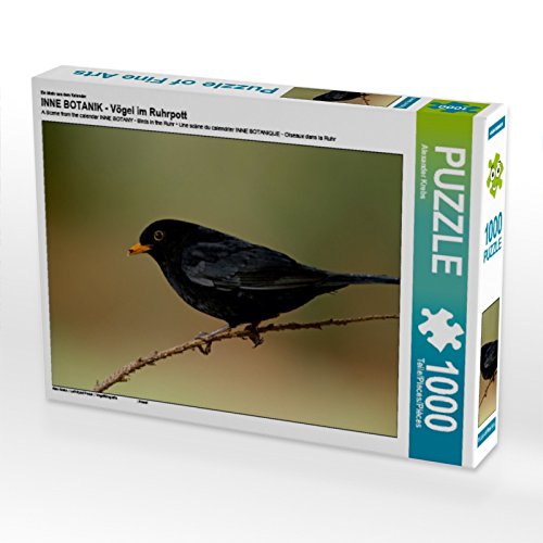 CALVENDO Puzzle INNE BOTANIK - Vögel im Ruhrpott 1000 Teile Lege-Größe 64 x 48 cm Foto-Puzzle Bild von Alexander Krebs CALVENDO Puzzle INNE BOTANIK - Vögel im Ruhrpott 1000 Teile Lege-Größe 64 x 48 cm Foto-Puzzle Bild von Alexander Krebs von CALVENDO