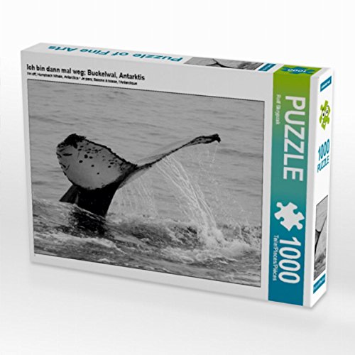 CALVENDO Puzzle Ich Bin dann mal Weg; Buckelwal, Antarktis 1000 Teile Lege-Größe 64 x 48 cm Foto-Puzzle Bild von Rolf Skrypzak CALVENDO Puzzle Ich Bin dann mal Weg; Buckelwal, Antarktis 1000 Teile Lege-Größe 64 x 48 cm Foto-Puzzle Bild von Rolf Skrypzak von CALVENDO