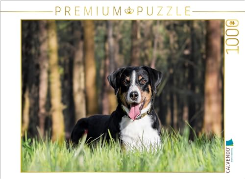 CALVENDO Puzzle Im Wald | Lege-Größe cm Foto-Puzzle für glückliche Stunden von CALVENDO