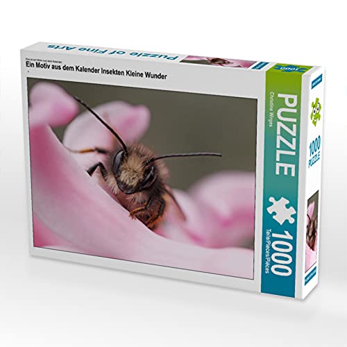 CALVENDO Puzzle Insekten Kleine Wunder 1000 Teile Lege-Größe 64 x 48 cm Foto-Puzzle Bild von Christine Wirges CALVENDO Puzzle Insekten Kleine Wunder 1000 Teile Lege-Größe 64 x 48 cm Foto-Puzzle Bild von Christine Wirges von CALVENDO