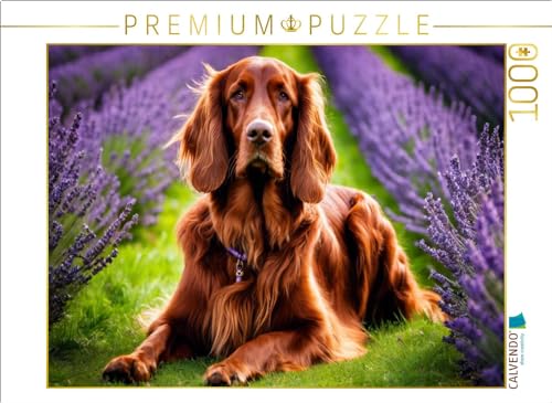 CALVENDO Puzzle Irish Setter im Lavendelfeld | 1000 Teile Lege-Größe 64 x 48 cm Foto-Puzzle für glückliche Stunden von CALVENDO