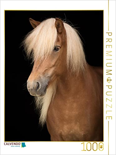 CALVENDO Puzzle Island Pferd 1000 Teile Puzzle hoch | 1000 Teile Lege-Größe 48 x 64 cm Foto-Puzzle für glückliche Stunden von CALVENDO