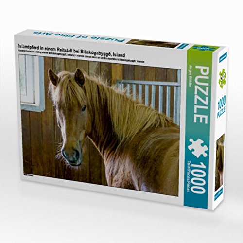 CALVENDO Puzzle Islandpferd in einem Reitstall bei Bláskógabyggð, Island 1000 Teile Lege-Größe 64 x 48 cm Foto-Puzzle Bild von Jürgen Wöhlke CALVENDO Puzzle Islandpferd in einem Reitstall bei Bláskógabyggð, Island 1000 Teile Lege-Größe 64 x 48 cm Foto-Puzzle Bild von Jürgen Wöhlke von CALVENDO
