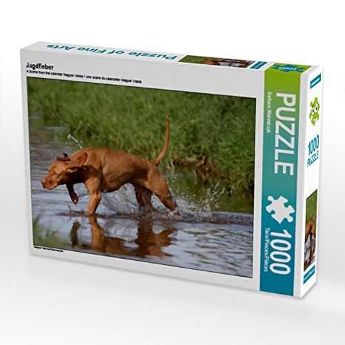 CALVENDO Puzzle Jagdfieber 1000 Teile Puzzle quer | Lege-Größe cm Foto-Puzzle für glückliche Stunden CALVENDO Puzzle Jagdfieber 1000 Teile Puzzle quer | Lege-Größe cm Foto-Puzzle für glückliche Stunden von CALVENDO