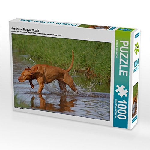 CALVENDO Puzzle Jagdhund Magyar Vizsla 1000 Teile Puzzle quer | 1000 Teile Lege-Größe 64 x 48 cm Foto-Puzzle für glückliche Stunden CALVENDO Puzzle Jagdhund Magyar Vizsla 1000 Teile Puzzle quer | 1000 Teile Lege-Größe 64 x 48 cm Foto-Puzzle für glückliche Stunden von CALVENDO
