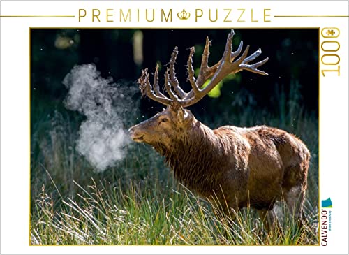 CALVENDO Puzzle Januar: Die Morgenkälte lässt den Atem des Platzhirschen zu heißen Dampf Werden. 1000 Teile Puzzle quer | Lege-Größe cm Foto-Puzzle für glückliche Stunden CALVENDO Puzzle Januar: Die Morgenkälte lässt den Atem des Platzhirschen zu heißen Dampf Werden. 1000 Teile Puzzle quer | Lege-Größe cm Foto-Puzzle für glückliche Stunden von CALVENDO