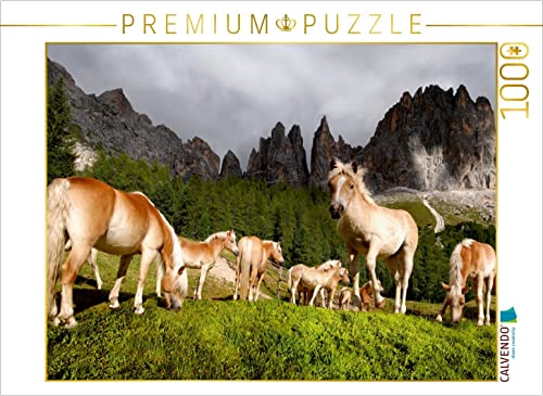CALVENDO Puzzle Junge Haflingerherde 1000 Teile Puzzle quer | 1000 Teile Lege-Größe 64 x 48 cm Foto-Puzzle für glückliche Stunden CALVENDO Puzzle Junge Haflingerherde 1000 Teile Puzzle quer | 1000 Teile Lege-Größe 64 x 48 cm Foto-Puzzle für glückliche Stunden von CALVENDO