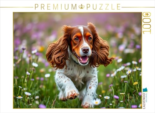 CALVENDO Puzzle Junger American Cocker Spaniel | 1000 Teile Lege-Größe 64 x 48 cm Foto-Puzzle für glückliche Stunden von CALVENDO
