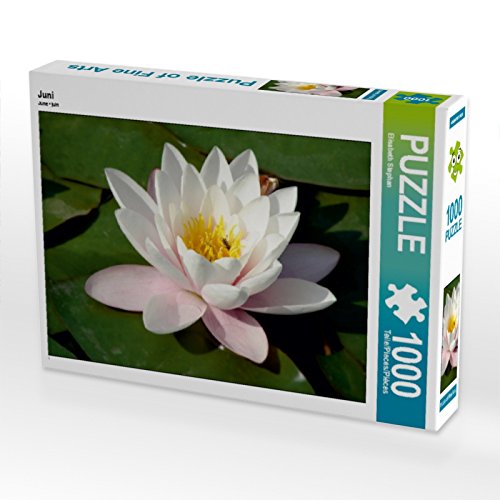 CALVENDO Puzzle Juni 1000 Teile Puzzle quer | 1000 Teile Lege-Größe 64 x 48 cm Foto-Puzzle für glückliche Stunden von CALVENDO