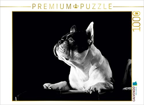 CALVENDO Puzzle Juno - Französische Bulldogge, 4 Jahre 1000 Teile Puzzle quer | 1000 Teile Lege-Größe 64 x 48 cm Foto-Puzzle für glückliche Stunden von CALVENDO