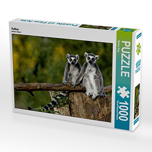 CALVENDO Puzzle Kattas 1000 Teile Puzzle quer | 1000 Teile Lege-Größe 64 x 48 cm Foto-Puzzle für glückliche Stunden von CALVENDO