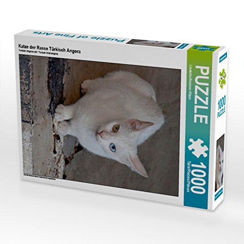 CALVENDO Puzzle Katze der Rasse Türkisch Angora 1000 Teile Puzzle hoch | 1000 Teile Lege-Größe 48 x 64 cm Foto-Puzzle für glückliche Stunden von CALVENDO