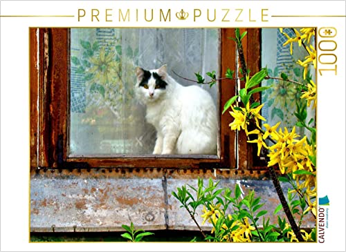 CALVENDO Puzzle Katze im Ostseebad Cranz in Ostpreußen 1000 Teile Lege-Größe 64 x 48 cm Foto-Puzzle Bild von Henning von Loewis of Menar von CALVENDO