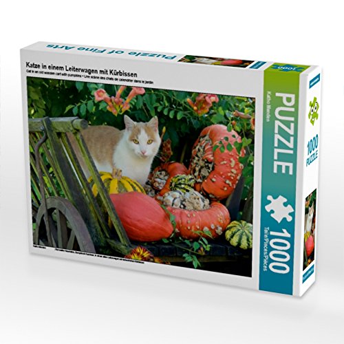CALVENDO Puzzle Katze in einem Leiterwagen mit Kürbissen 1000 Teile Puzzle quer | 1000 Teile Lege-Größe 64 x 48 cm Foto-Puzzle für glückliche Stunden von CALVENDO