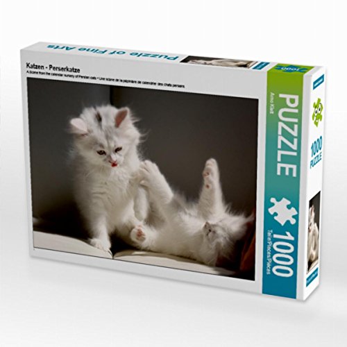 CALVENDO Puzzle Katzen - Perserkatze 1000 Teile Puzzle quer | 1000 Teile Lege-Größe 64 x 48 cm Foto-Puzzle für glückliche Stunden CALVENDO Puzzle Katzen - Perserkatze 1000 Teile Puzzle quer | 1000 Teile Lege-Größe 64 x 48 cm Foto-Puzzle für glückliche Stunden von CALVENDO