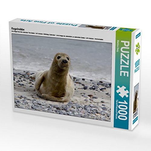 CALVENDO Puzzle Kegelrobbe 1000 Teile Puzzle quer | 1000 Teile Lege-Größe 64 x 48 cm Foto-Puzzle für glückliche Stunden CALVENDO Puzzle Kegelrobbe 1000 Teile Puzzle quer | 1000 Teile Lege-Größe 64 x 48 cm Foto-Puzzle für glückliche Stunden von CALVENDO