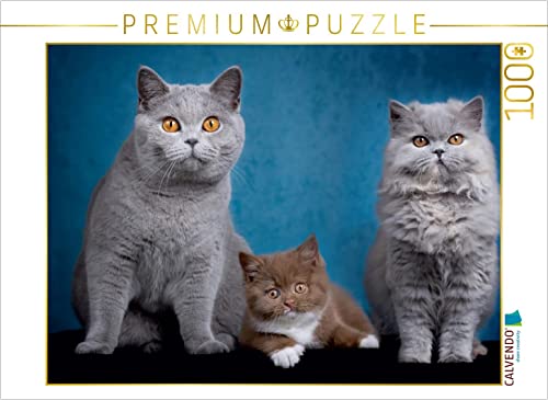 CALVENDO Puzzle EIN Motiv aus dem Kalender Kittens - Britisch Kurzhaar Katzenkinder 1000 Teile Puzzle quer | 1000 Teile Lege-Größe 64 x 48 cm Foto-Puzzle für glückliche Stunden CALVENDO Puzzle EIN Motiv aus dem Kalender Kittens - Britisch Kurzhaar Katzenkinder 1000 Teile Puzzle quer | 1000 Teile Lege-Größe 64 x 48 cm Foto-Puzzle für glückliche Stunden von CALVENDO
