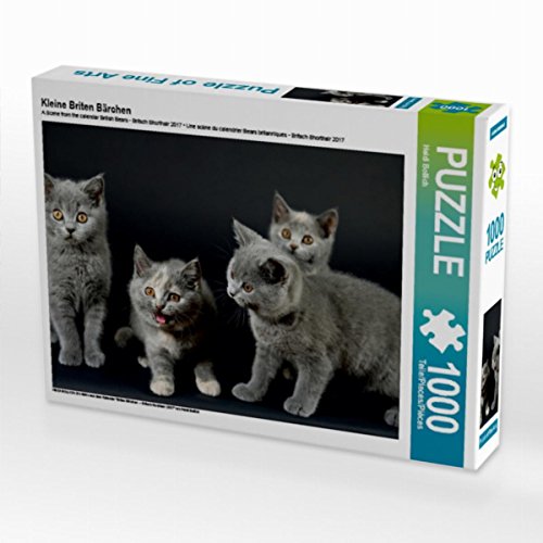 CALVENDO Puzzle Kleine Briten Bärchen 1000 Teile Lege-Größe 64 x 48 cm Foto-Puzzle Bild von Heidi Bollich CALVENDO Puzzle Kleine Briten Bärchen 1000 Teile Lege-Größe 64 x 48 cm Foto-Puzzle Bild von Heidi Bollich von CALVENDO