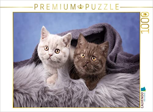 CALVENDO Puzzle Kleine Deckenkrabler 1000 Teile Puzzle quer | 1000 Teile Lege-Größe 64 x 48 cm Foto-Puzzle für glückliche Stunden von CALVENDO